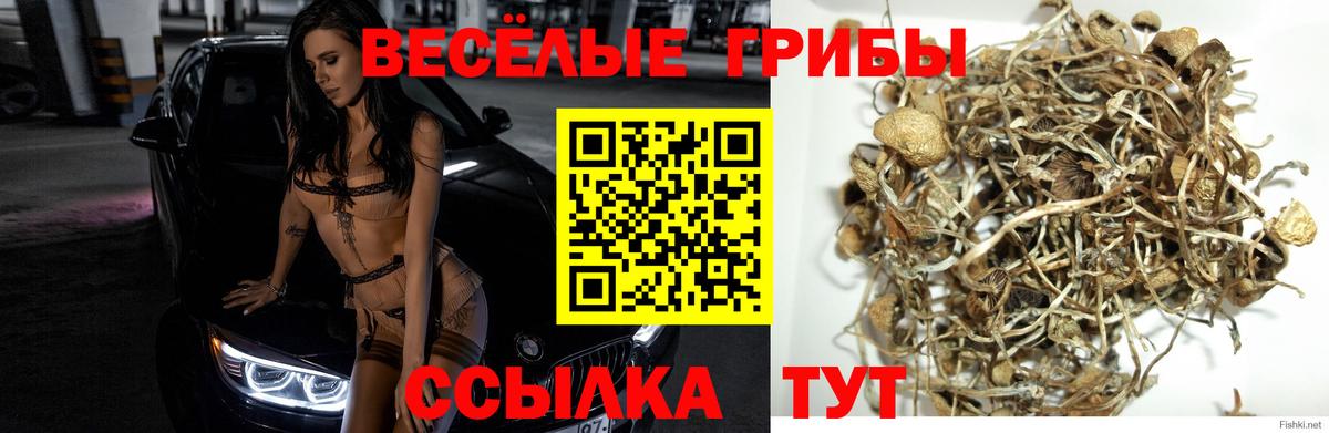 Галлюциногенные грибы MAGIC MUSHROOMS Северодвинск