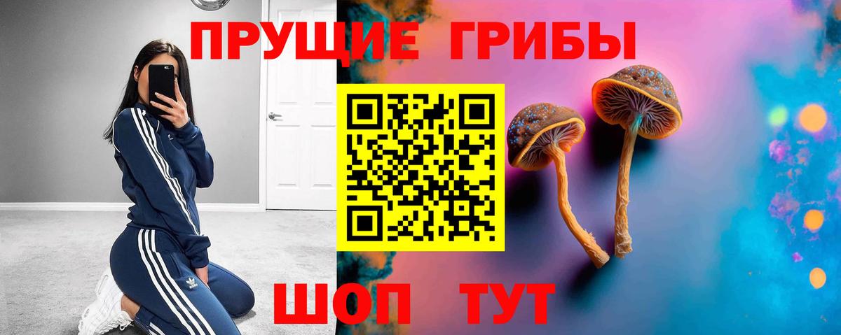Северодвинск  Галлюциногенные грибы прущие грибы  Вход с VPN 
